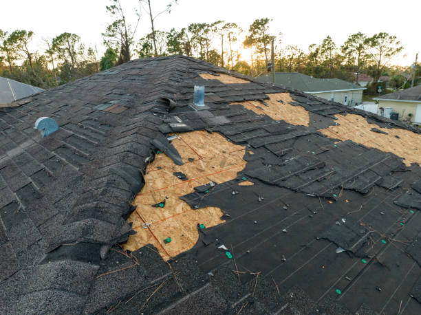  Upper Lake, CA Roofing Service Pros